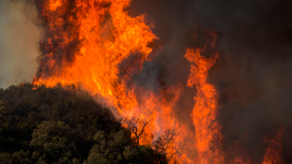 Congress Just Held Its First Climate Change Hearings In Years